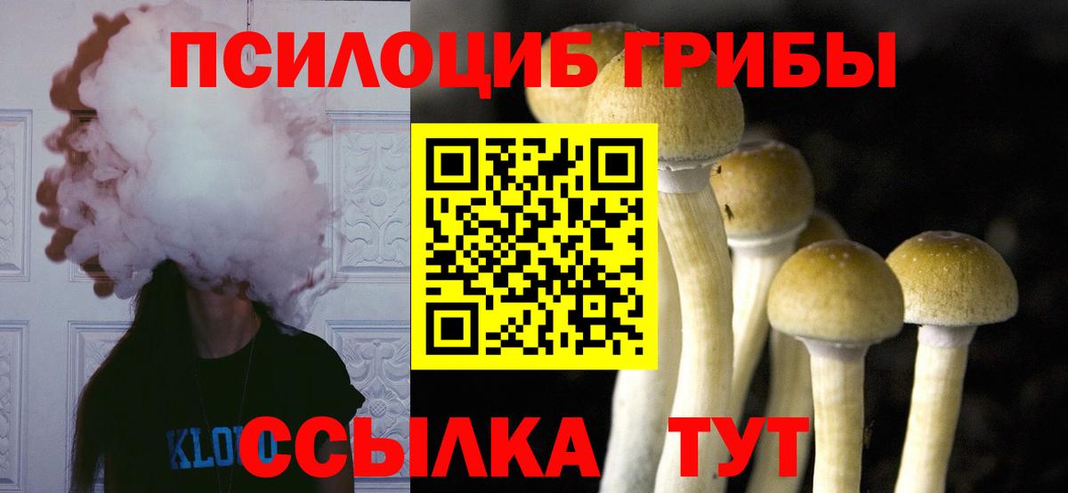 Псилоцибиновые грибы мухоморы  Вход с VPN  наркошоп  Звенигород 